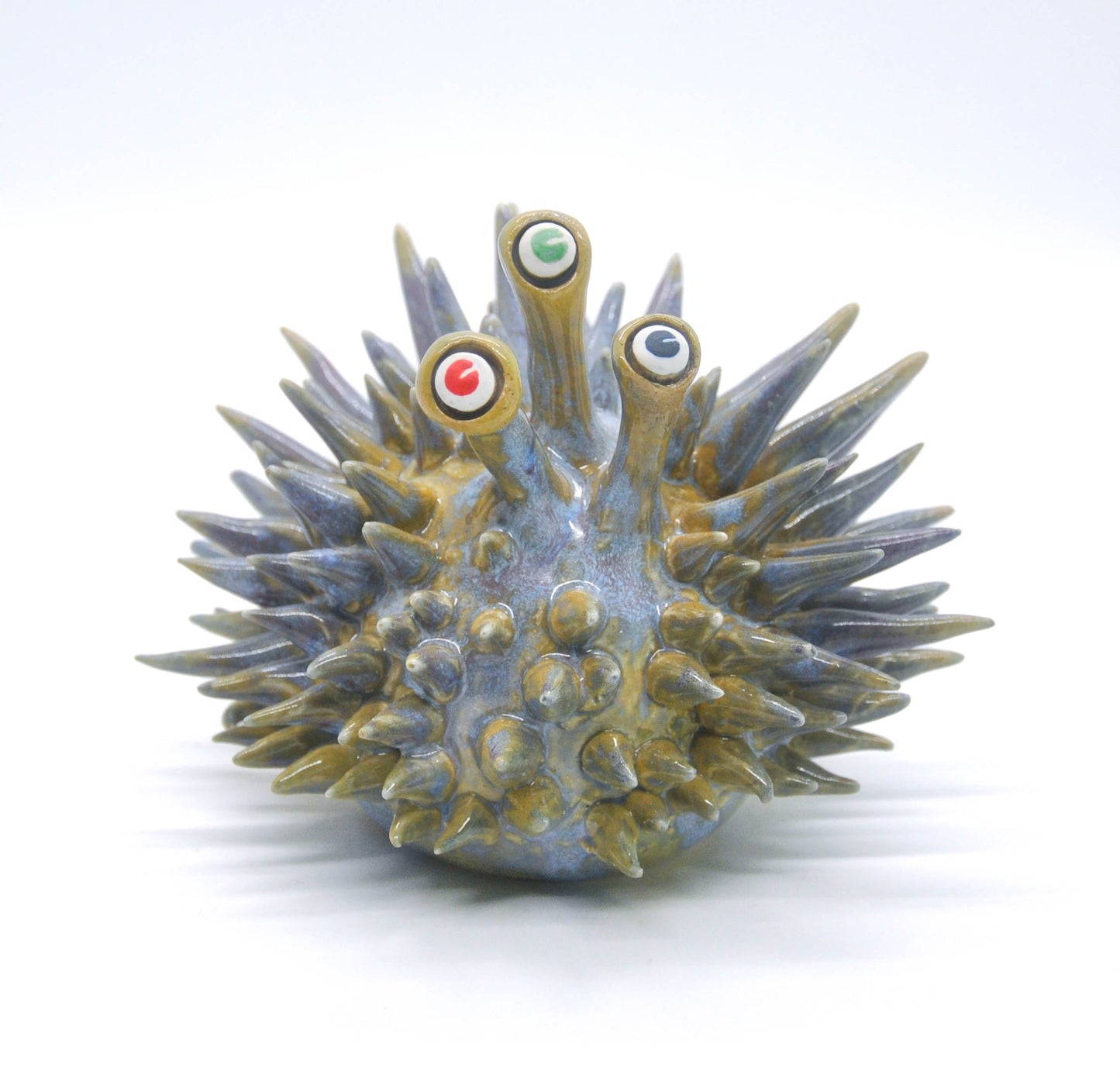 Three Eyed Blue Green Urchin