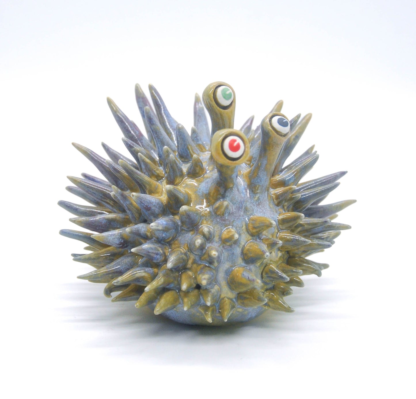 Three Eyed Blue Green Urchin