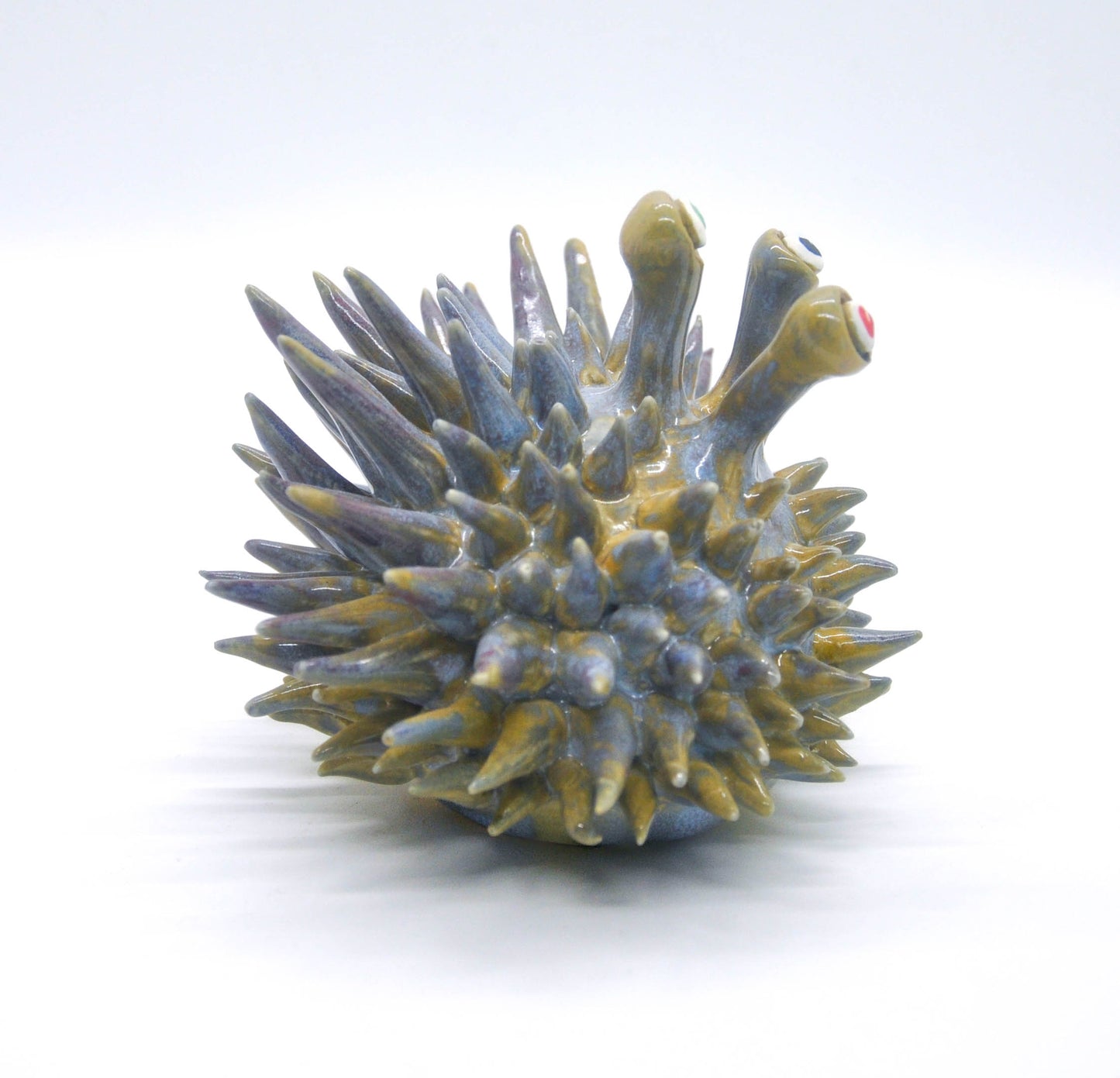 Three Eyed Blue Green Urchin