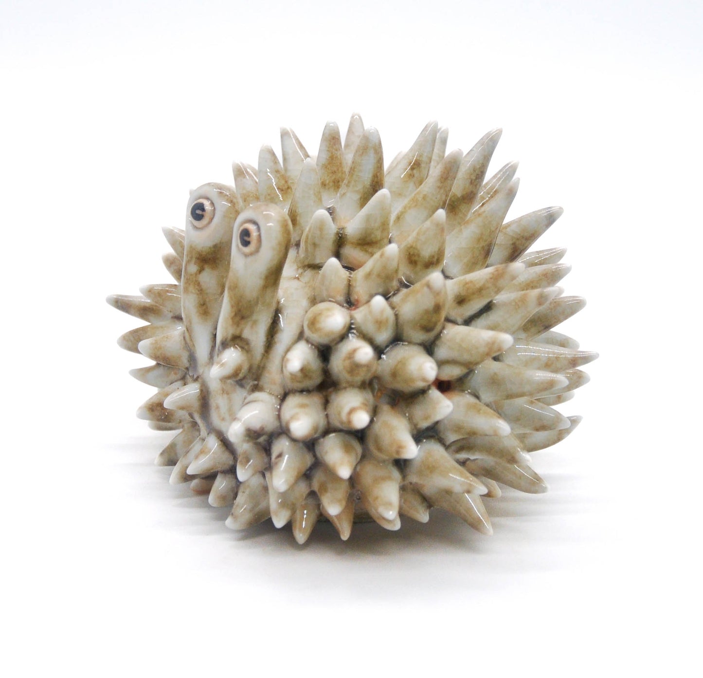 Glossy Shino Urchin II