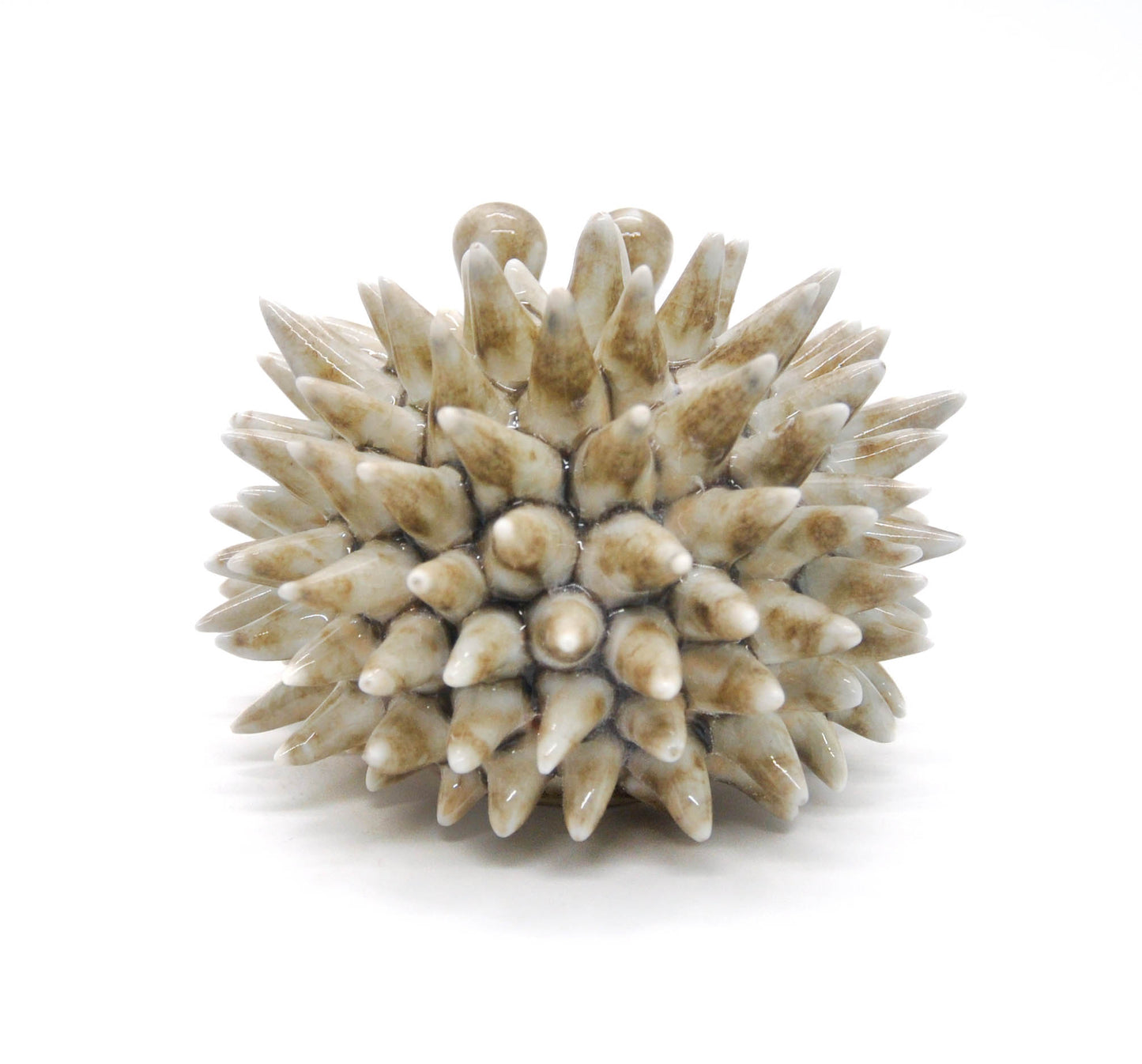 Glossy Shino Urchin II