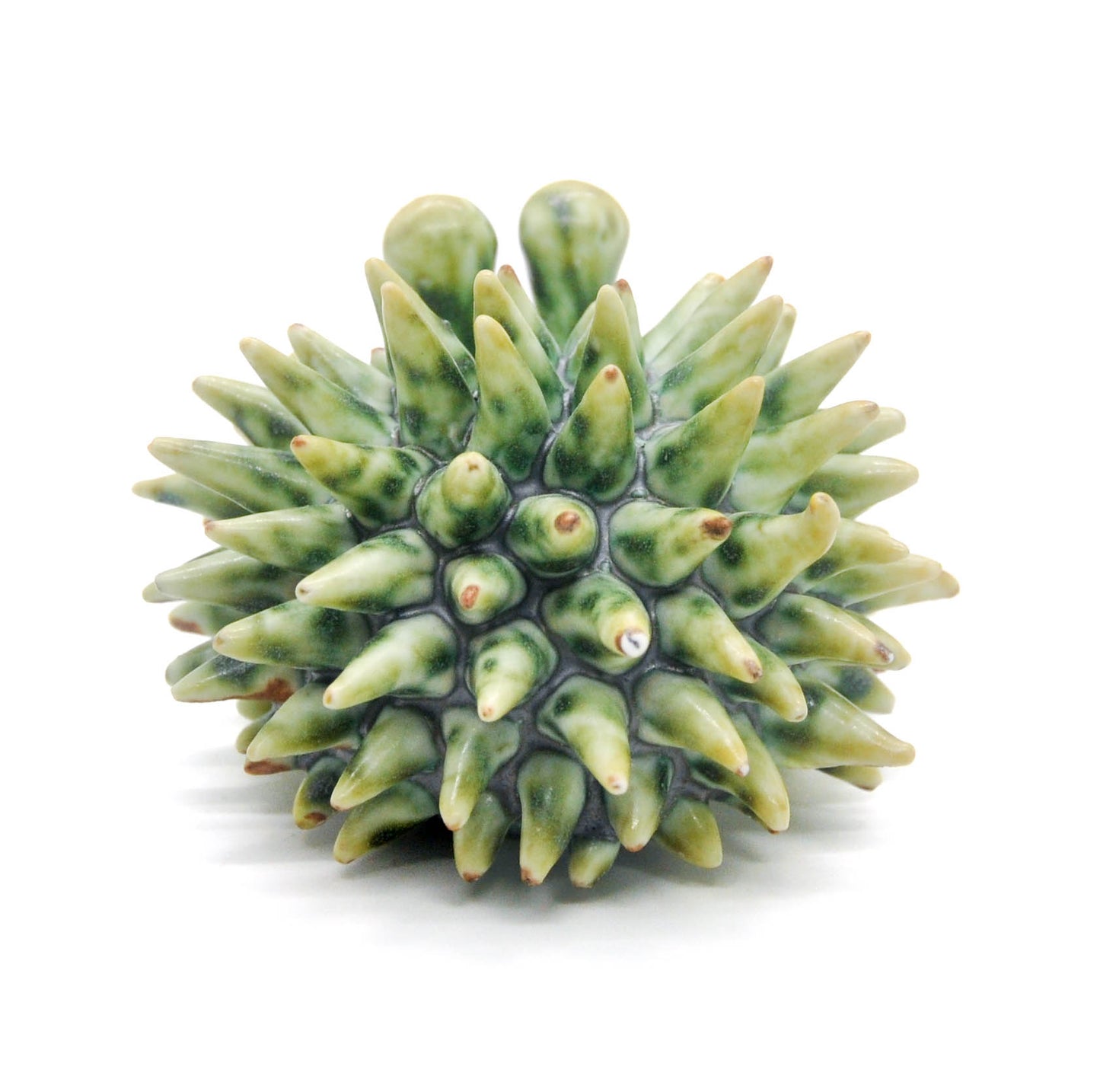 Swamp Monster Mini Urchin