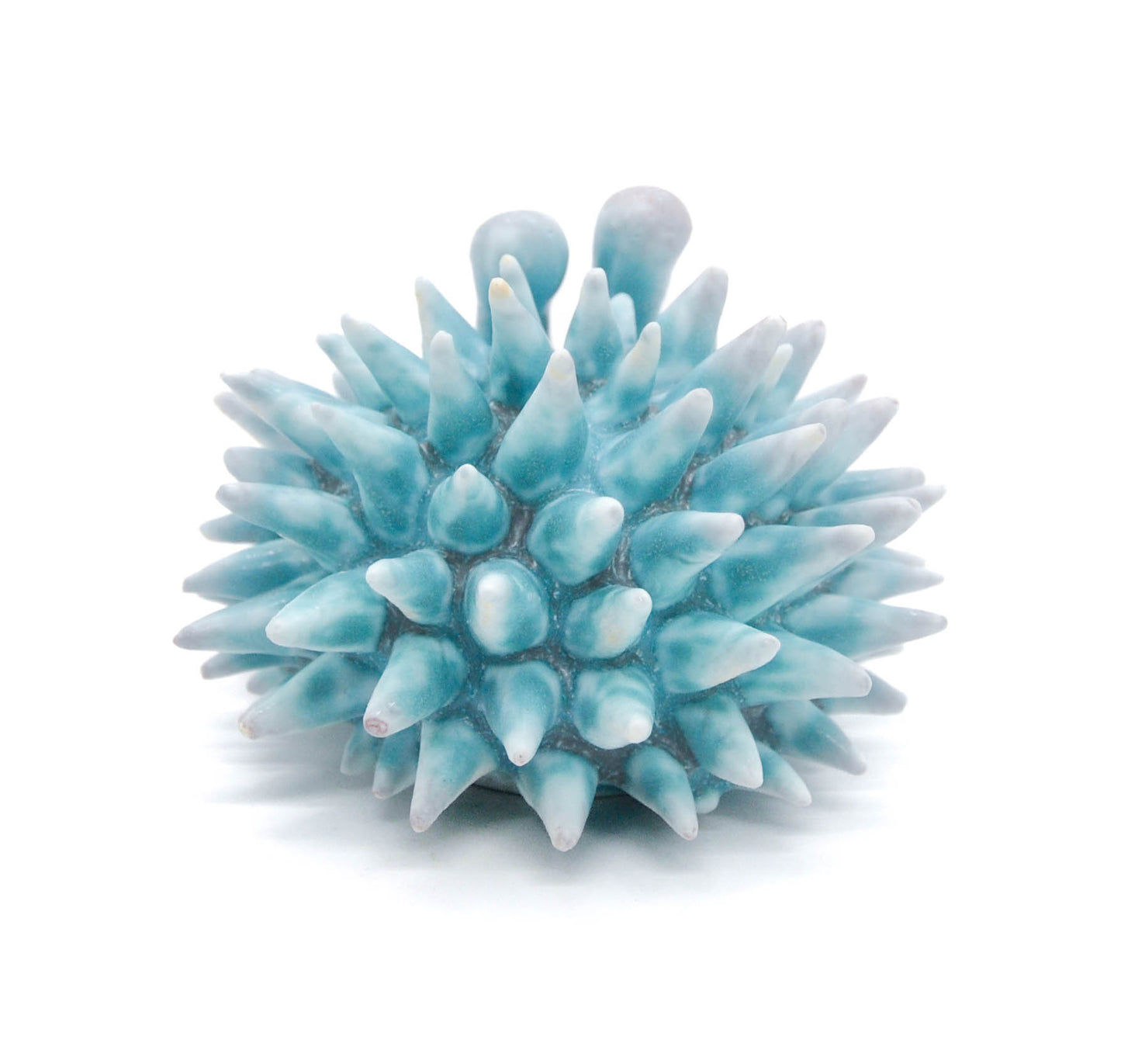 Teal Urchin III