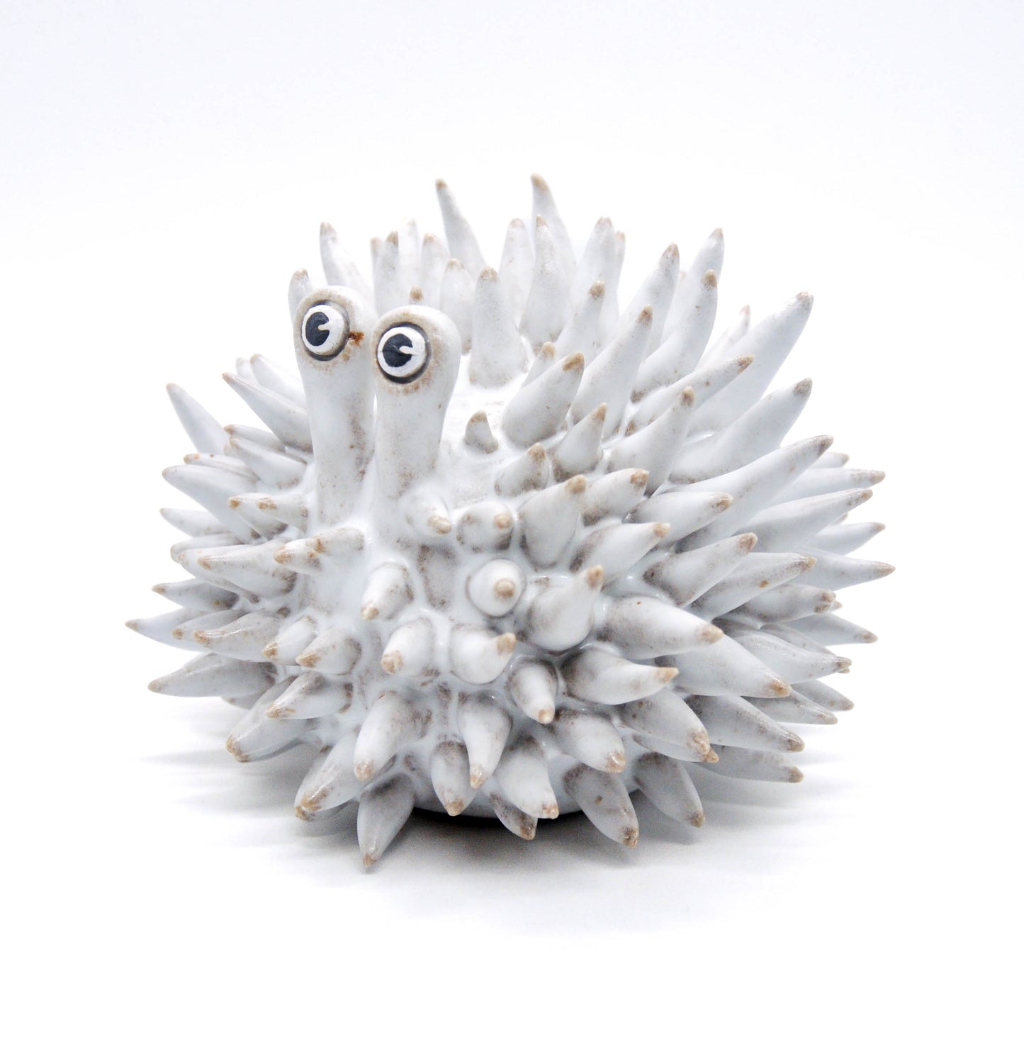 Light Gray Large Urchin