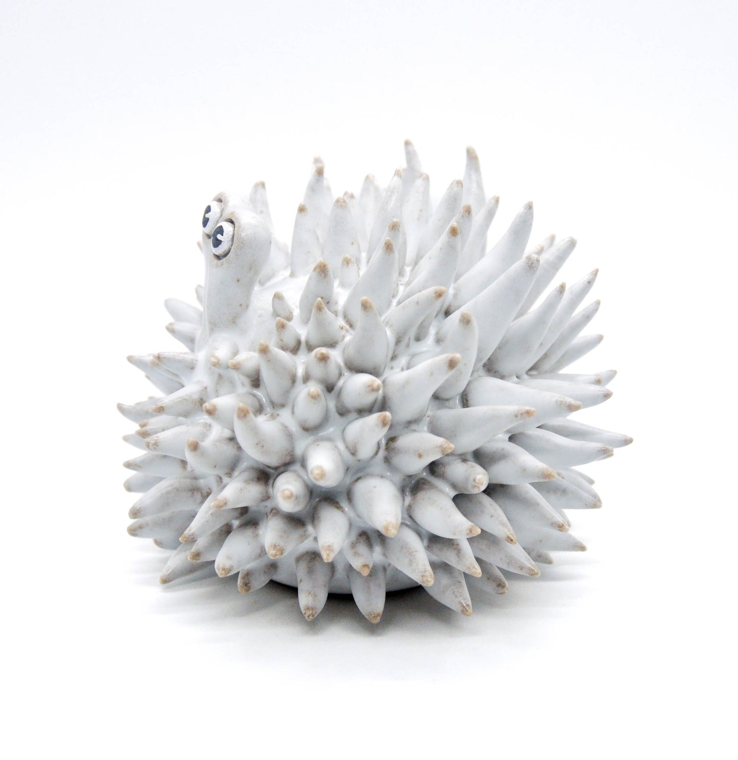 Light Gray Large Urchin