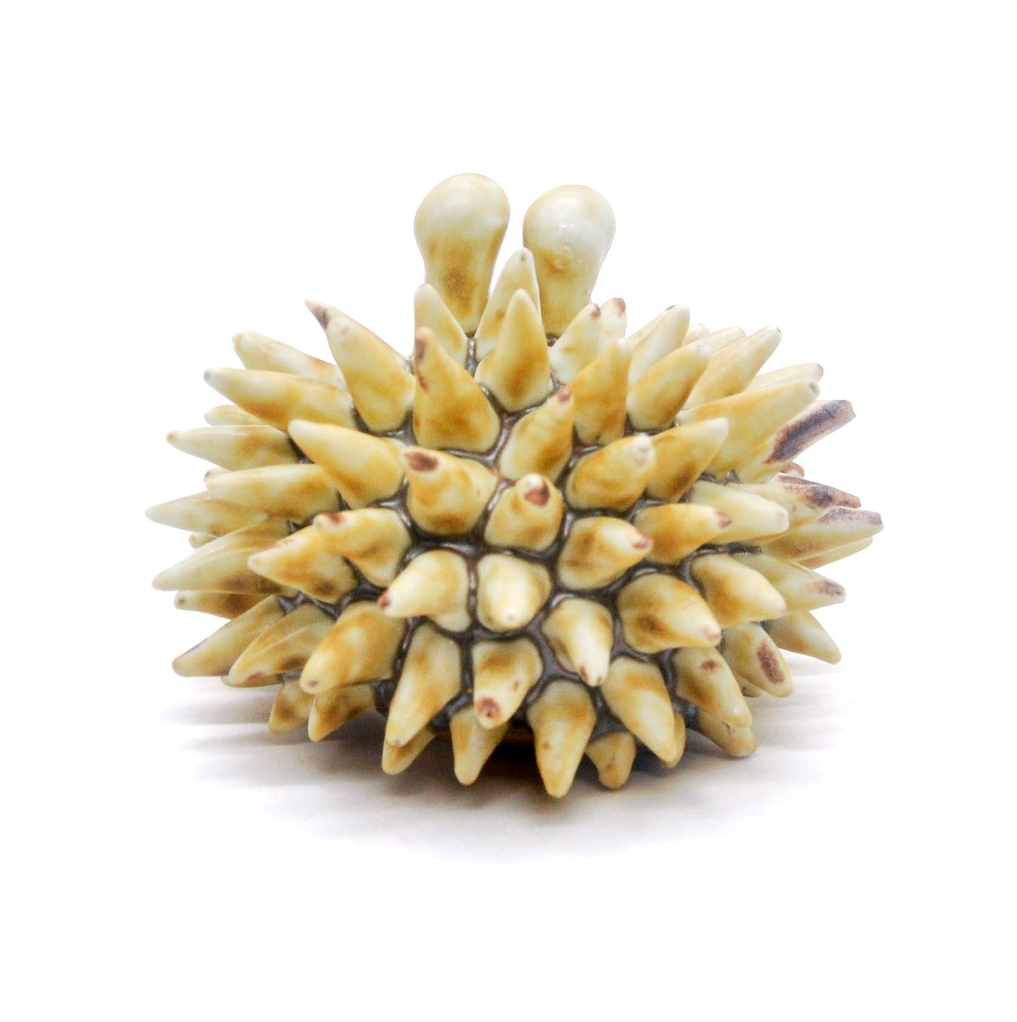 Mustard Mini Urchin