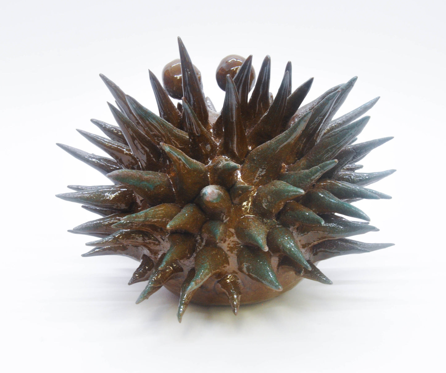 Dark Brown/Teal Urchin