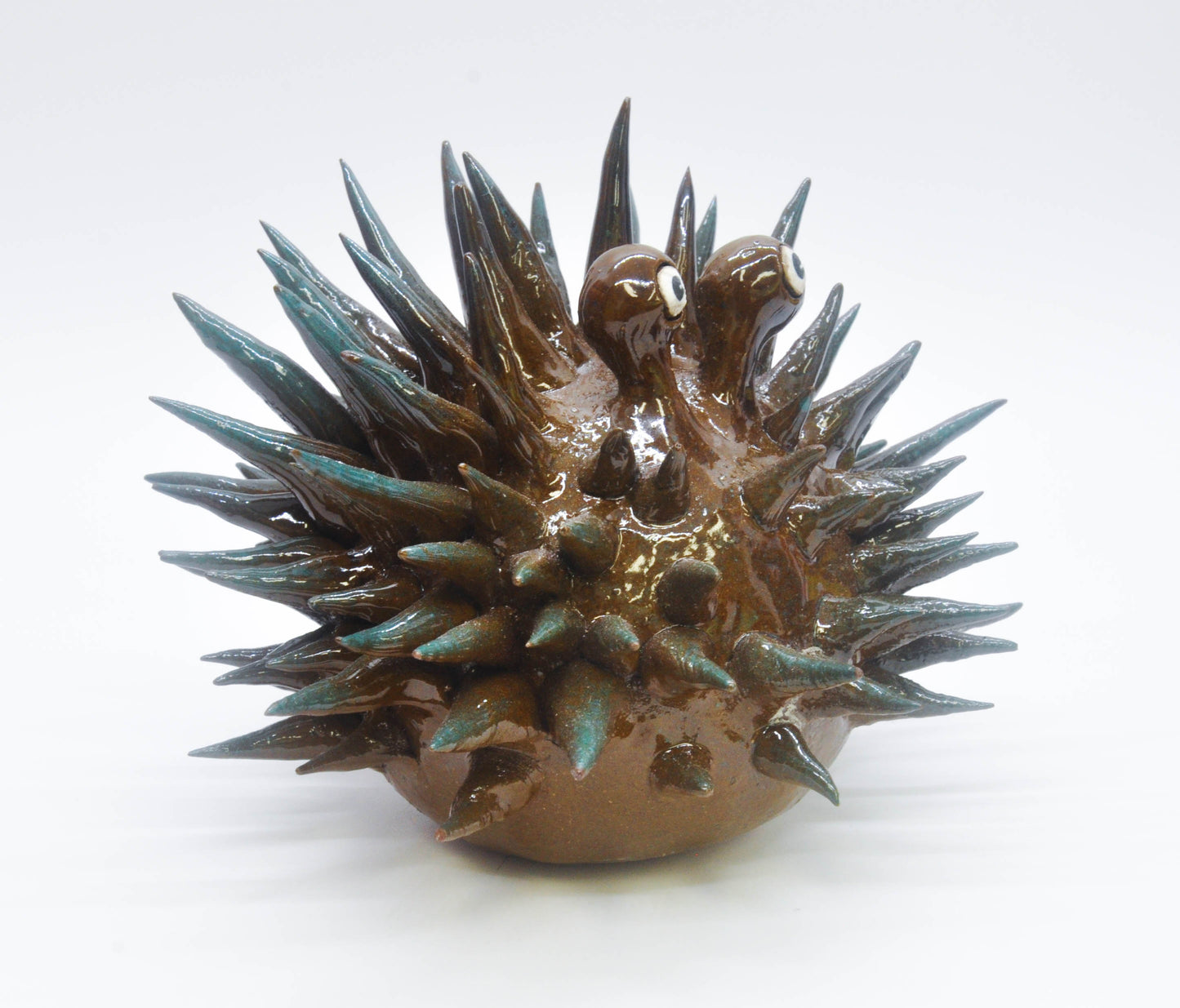 Dark Brown/Teal Urchin