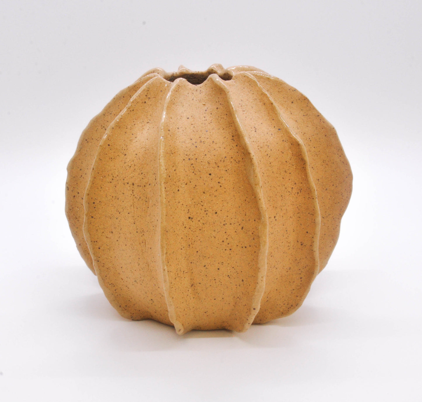 Speckled Buff Shell Vase