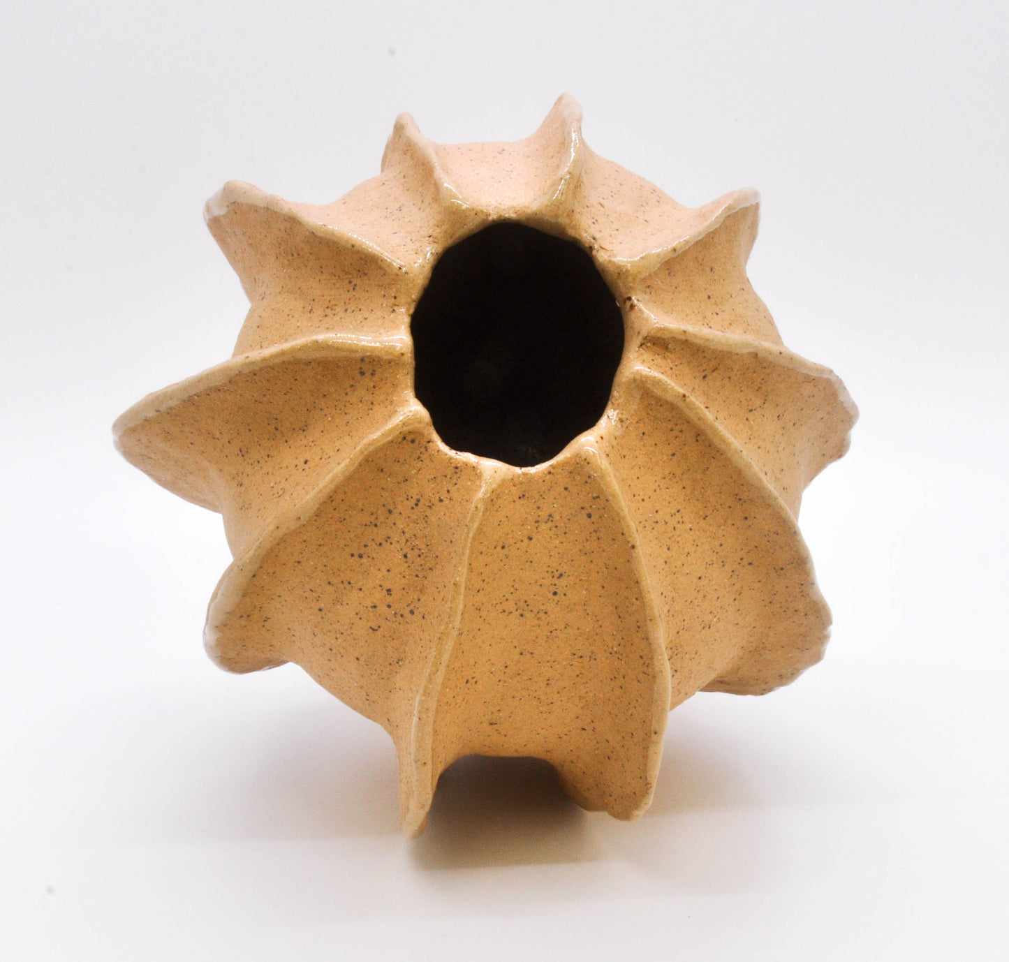 Speckled Buff Shell Vase