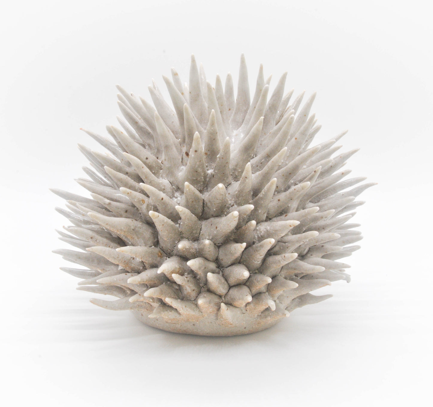 Ghostly Urchin