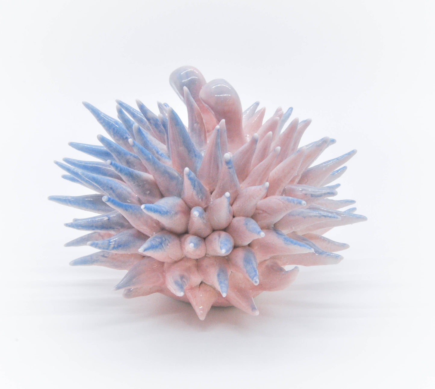 Pink and Blue Baby Porcelain Urchin