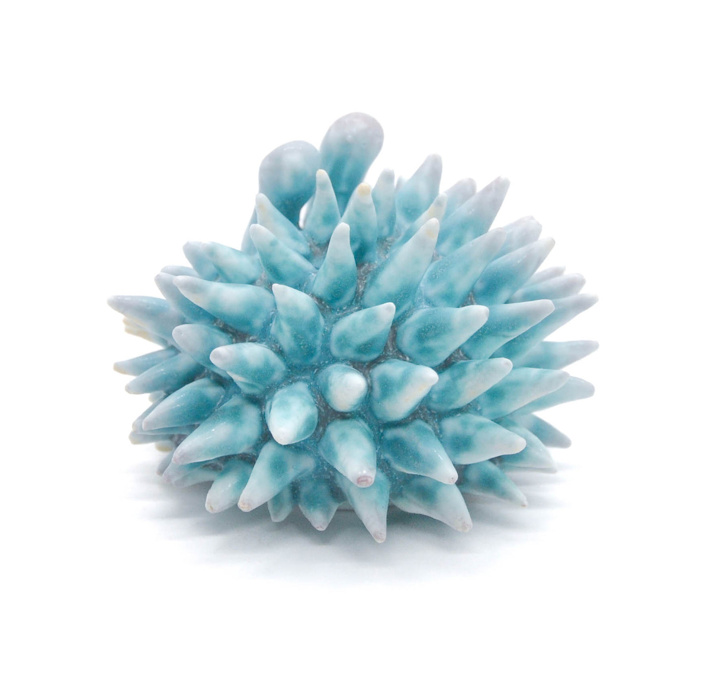 Teal Urchin III