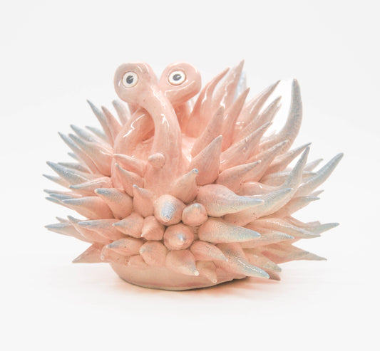 Peach and Teal Urchin