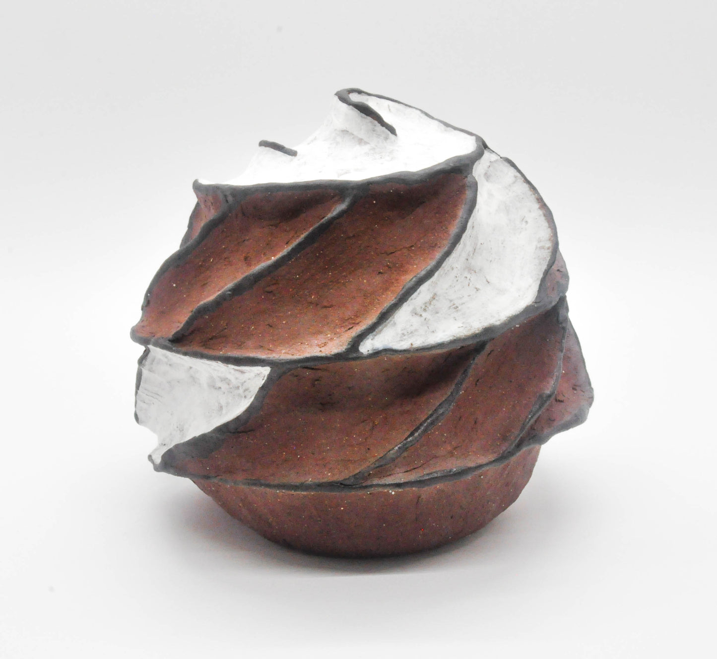 Sea Shell Swirl